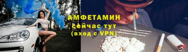 сатива Балахна