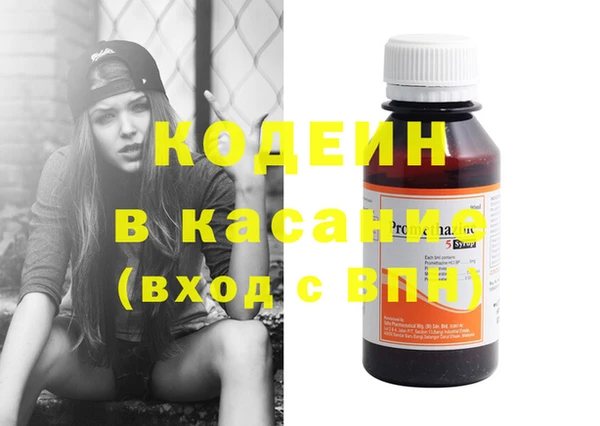 сатива Балахна