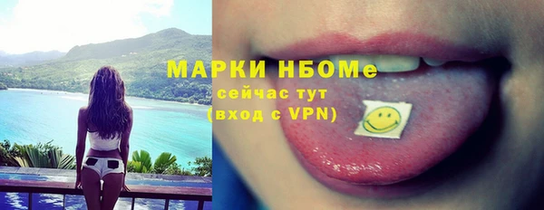 сатива Балахна