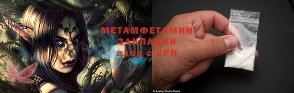сатива Балахна