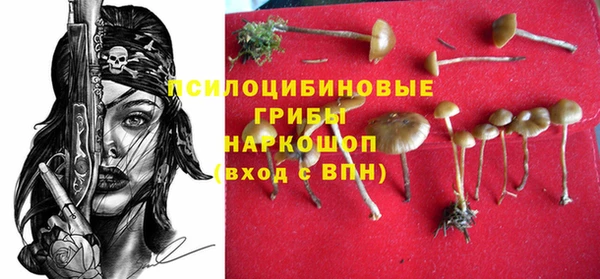 ALPHA PVP Баксан
