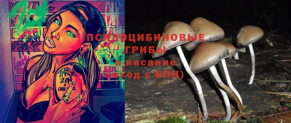 ALPHA PVP Баксан