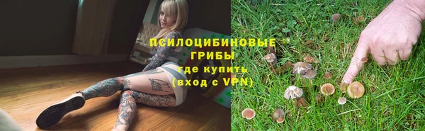 сатива Балахна