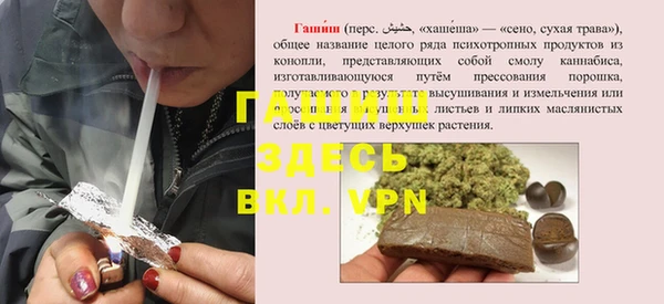 сатива Балахна