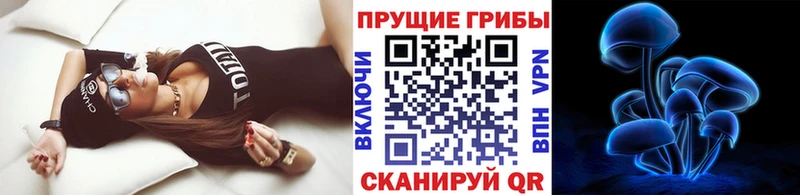 ссылка на мегу рабочий сайт  Ленинск  Галлюциногенные грибы Psilocybe 